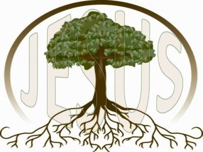 Root and Stem of David - Perfect MAN Eternal SON (14)